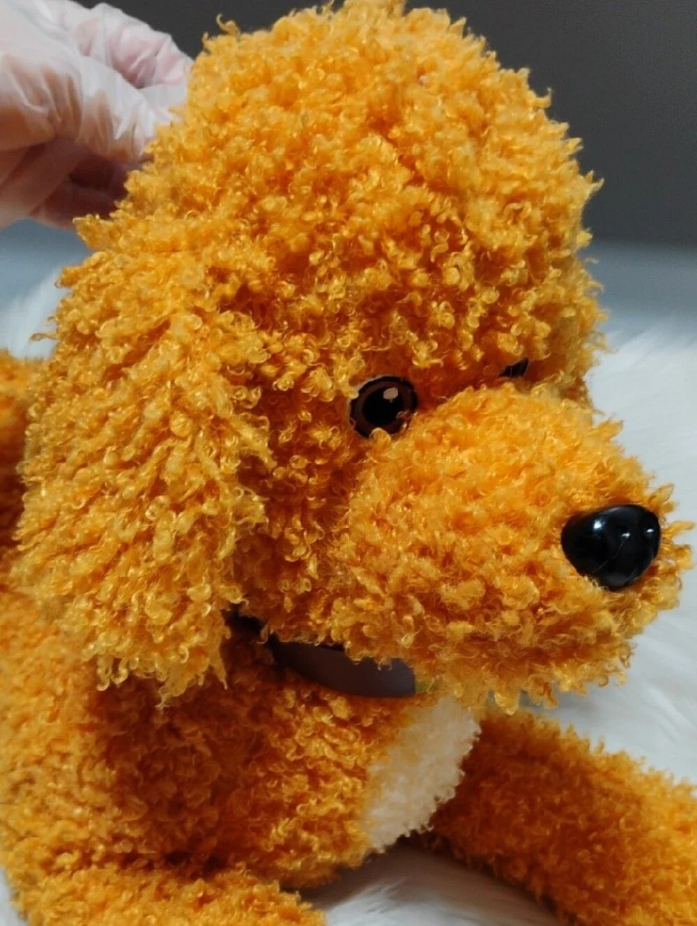 (C-70) Retired Disney Fancy Nancy Large Curly Plush Toy Poodle